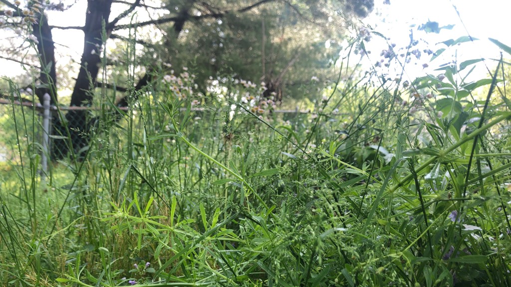 Like A Good&nbsp;Neighbor