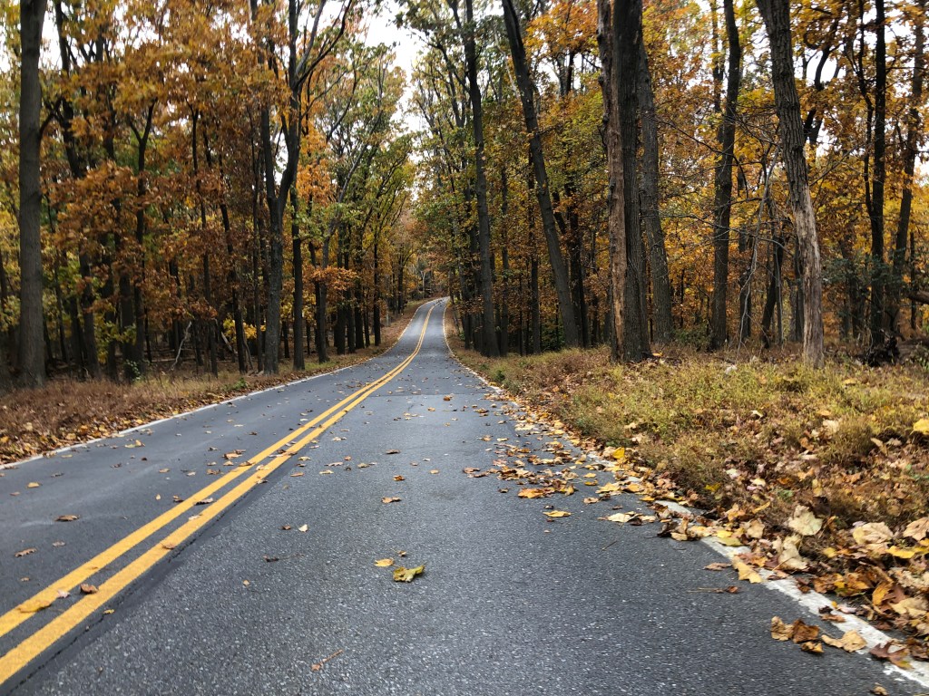 What it Means to Live a Creative&nbsp;Life